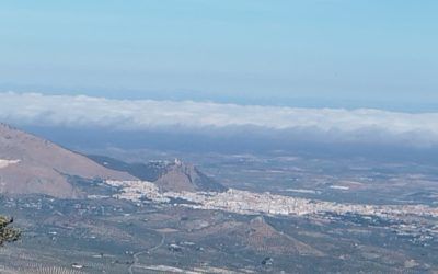 Fotogalería y crónica de la ruta «Subida a Puerto Alto»